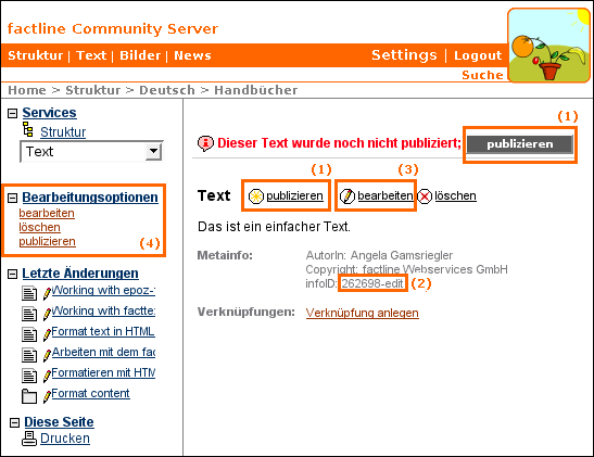 Inhalte publizieren - 132917.1